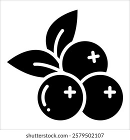 Cranberry Icon Element For Design