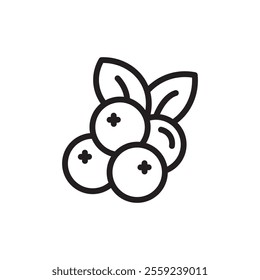 Cranberry icon Outline vector for web ui