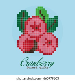 Cranberry icon. Pixel art. Vector illustration