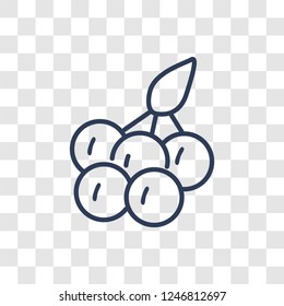 Cranberry icon. Trendy linear Cranberry logo concept on transparent background from Fruits and vegetables collection