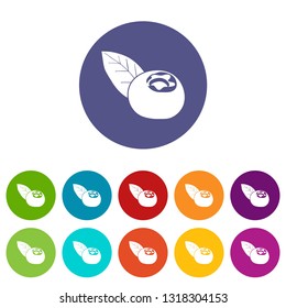 Cranberry icons color set vector for any web design on white background