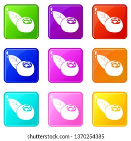 Cranberry icons set 9 color collection isolated on white for any design