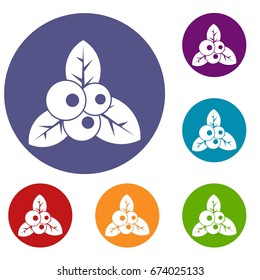 Cranberry icons set in flat circle reb, blue and green color for web