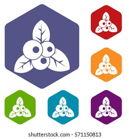 Cranberry icons set rhombus in different colors isolated on white background