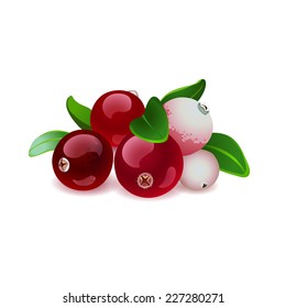 Cranberry isolated on white.