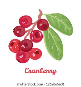 Cranberry isolated on white background. Branch with red berries and green leaves. Vector illustration in cartoon simple flat style.