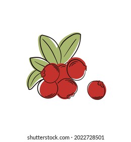 Cranberry aislada en un fondo blanco. Rama con bayas rojas y hojas verdes. Ilustración vectorial en caricatura simple de estilo plano.