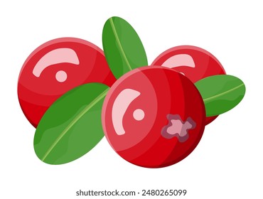 Arándano aislado sobre fondo blanco. Rama con bayas rojas y hojas verdes. Comida saludable orgánica. Alimentación vegetariana. Ilustración vectorial en estilo plano