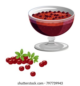Cranberry jam and fresh cranberries. Vector illustration isolated on white