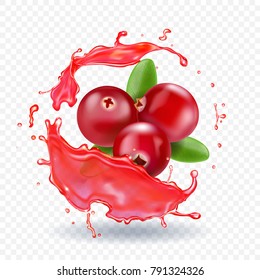 Cranberry In Juice Splash Realistic Vector Illustration