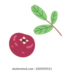 Arándano con Ilustración vectorial de hoja aislada en blanco.