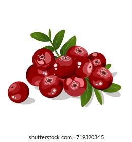 Cranberry with leaves isolated on white background.