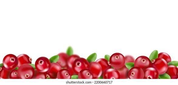 Cranberry con hojas sobre fondo horizontal transparente. vector realista, ilustración 3d