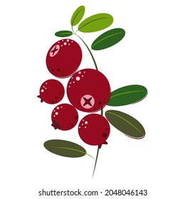 Cranberry. Lingonberry. Ripe juicy berries with green leaves. Berries for jam and dessert. Flat style Vector Illustration.