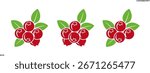Cranberry logo. Isolated cranberry on white background
