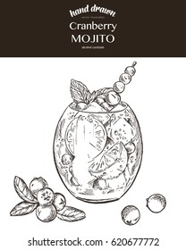 Cranberry mojito. Vector sketch illustration of cocktails. Hand drawn.