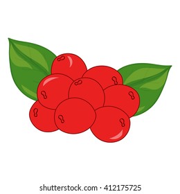 Cranberry on white background. Hand drawn berries. Vector illustration.