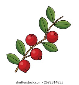 Una Ilustración vectorial de rama de arándano (o lingonberry), con bayas rojas brillantes y exuberantes hojas verdes. Renderizado en un estilo de arte de dibujos animados o Clip limpio con contornos negros audaces. Vector de arándanos