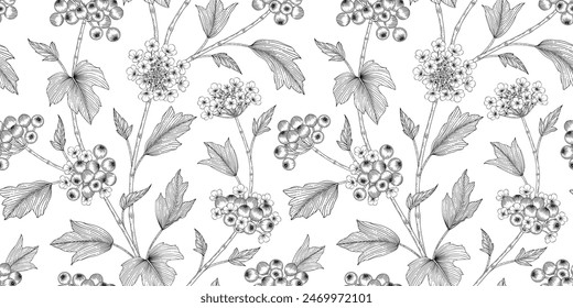 Patrón de arándano negro y blanco ilustración
