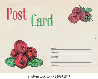 cranberry and raspberry berries garden postcard envelope template design and illustration