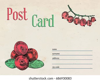 cranberry and red currant berry berries garden postcard envelope template design and illustration
