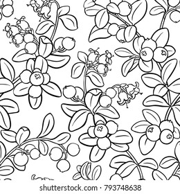 cranberry seamless pattern