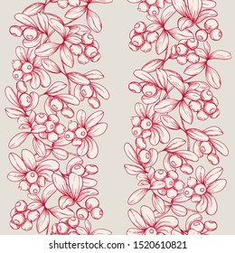 Cranberry. Seamless pattern, background. Graphic drawing, engraving style. Vector illustration.	