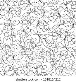 Cranberry. Seamless pattern, background. Outline hand drawing vector illustration.	