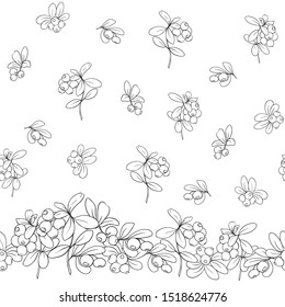 Cranberry. Seamless pattern, background. Outline hand drawing vector illustration.	
