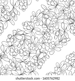 Cranberry. Seamless pattern, background. Outline hand drawing vector illustration