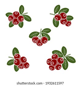 Cranberry set. Collection icon cranberry. Vector