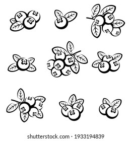 Cranberry set. Collection icon cranberry. Vector