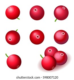 cranberry, set of vector icons. berries isolated on white background.