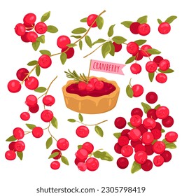 Cranberry set vector illustration. Cartoon isolated vitamin red berry fruit on branch with leaf, summer twig of botanical plant and organic food ingredient for portion cranberry sweet cake or tart