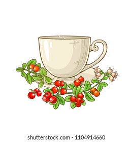 cranberry tea illustration