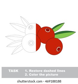 Cranberry in vector to be traced. Restore dashed line and color the picture. Easy educational kid gaming with simple level of difficulty.