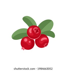 Cranberry Vector Cartoon Illustration Red Berry Stock Vector (Royalty ...