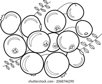 Cranberry. Gráficos vectoriales. Contorsión negra. Berries con hojas. Bunch. Ingredientes para mermelada, zumo y postres. 
