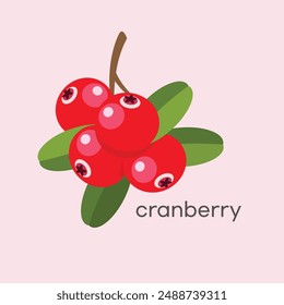 Cranberry vector icon in trendy flat design
