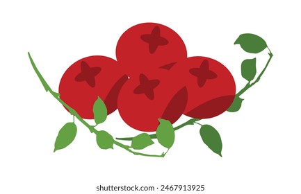 Vector De Arándano Y Diseño De Ilustración . 
