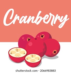 cranberry vector illustration with section , beautiful square background design