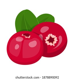 Cranberry vector isolated. Sweet ripe red berries with green leaves. Juicy healthy ingredient, nature product. Raw organic food.