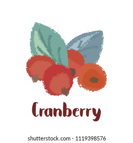 Cranberry - vintage illustration of forest berry with torn edges and brush effect. Vector