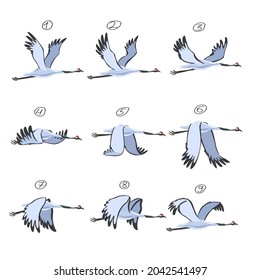 Crane animation. Bird animation, nine key frames. Cranes isolated on white background. Vector illustration.