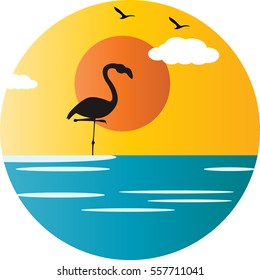 Crane bird