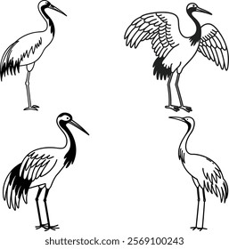 Crane bird bundle line art and illustrator eps