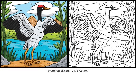  Crane Bird Coloring Page Colored Illustration