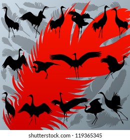Crane bird and feathers detailed silhouette illustration collection background vector