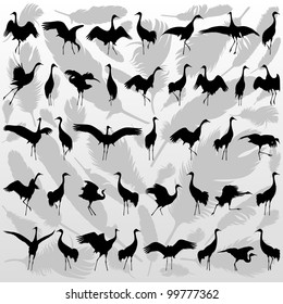 Crane bird and feathers detailed silhouette illustration collection background vector