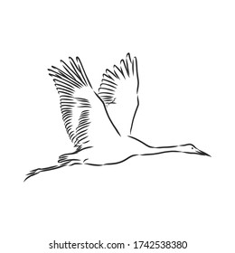 crane bird icon. bird crane vector sketch illustration